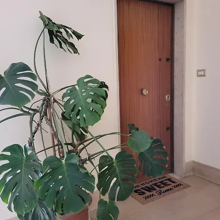 Boutique Maison - Pentimalli 84